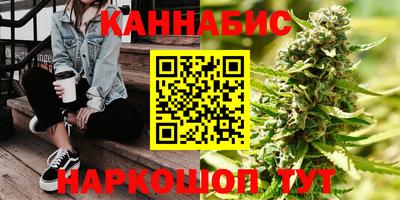 шишки Ставрополь