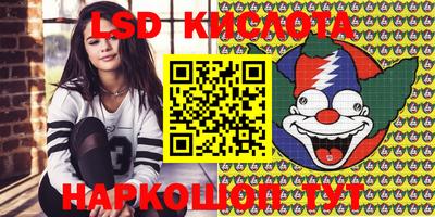 шишки Ставрополь