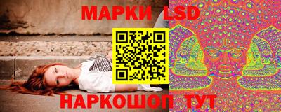 шишки Ставрополь