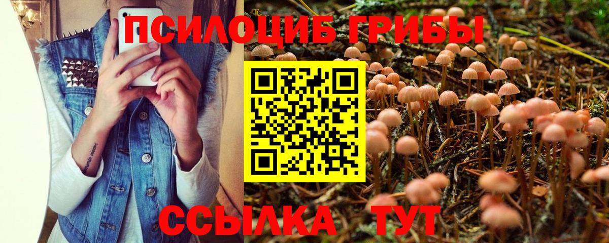 Псилоцибиновые грибы Psilocybine cubensis Нижнеудинск