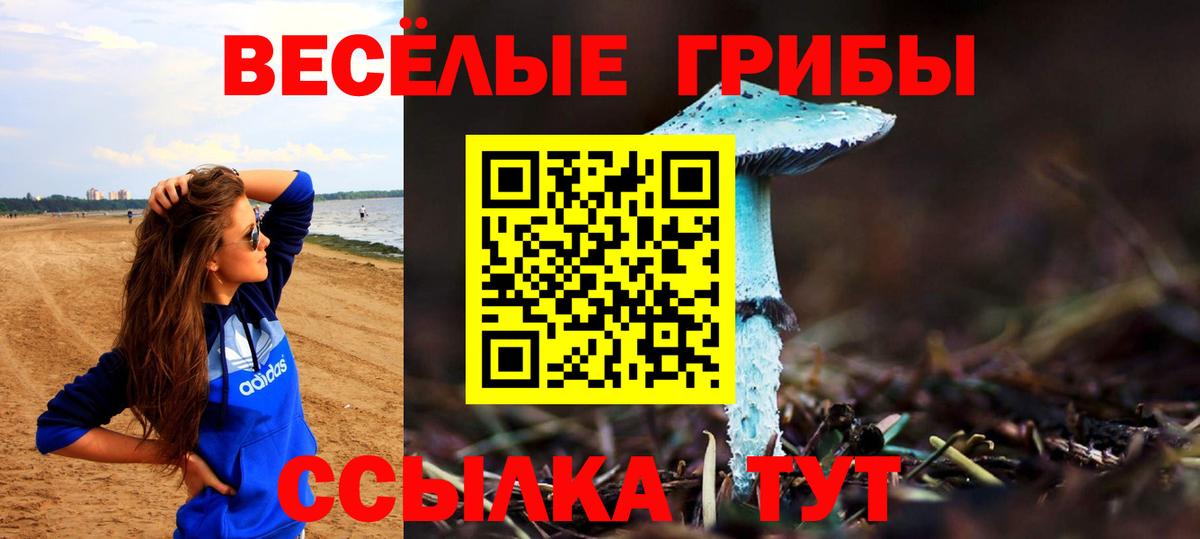 Галлюциногенные грибы Psilocybe  Галлюциногенные грибы Psilocybine cubensis  Нижнеудинск  где можно купить   Вход с VPN 